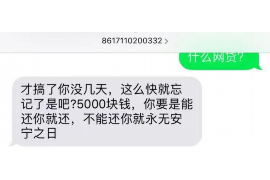 临翔专业催债公司的市场需求和前景分析